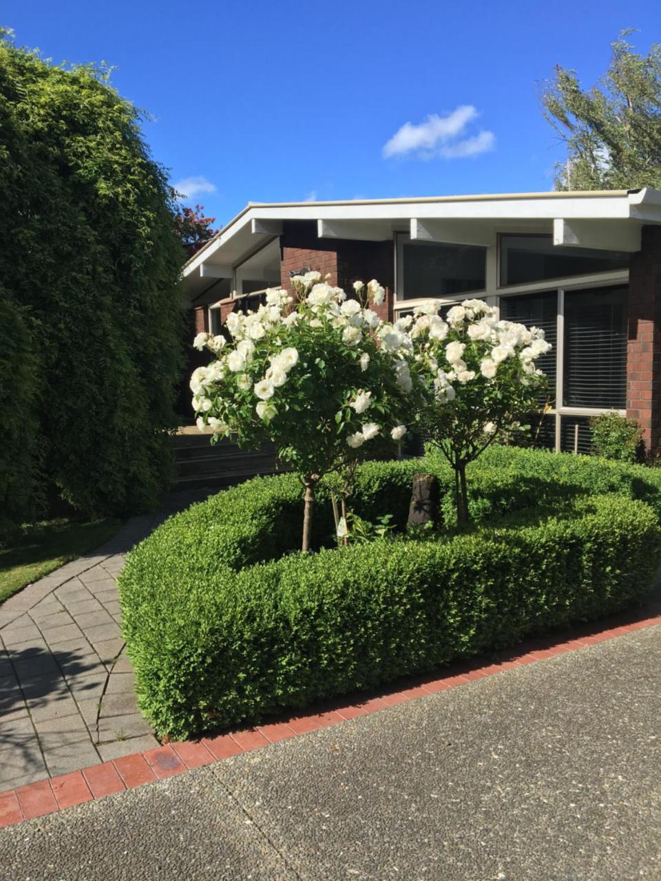 Quiet Boutique Generous Breakfast Palmerston North Exterior foto